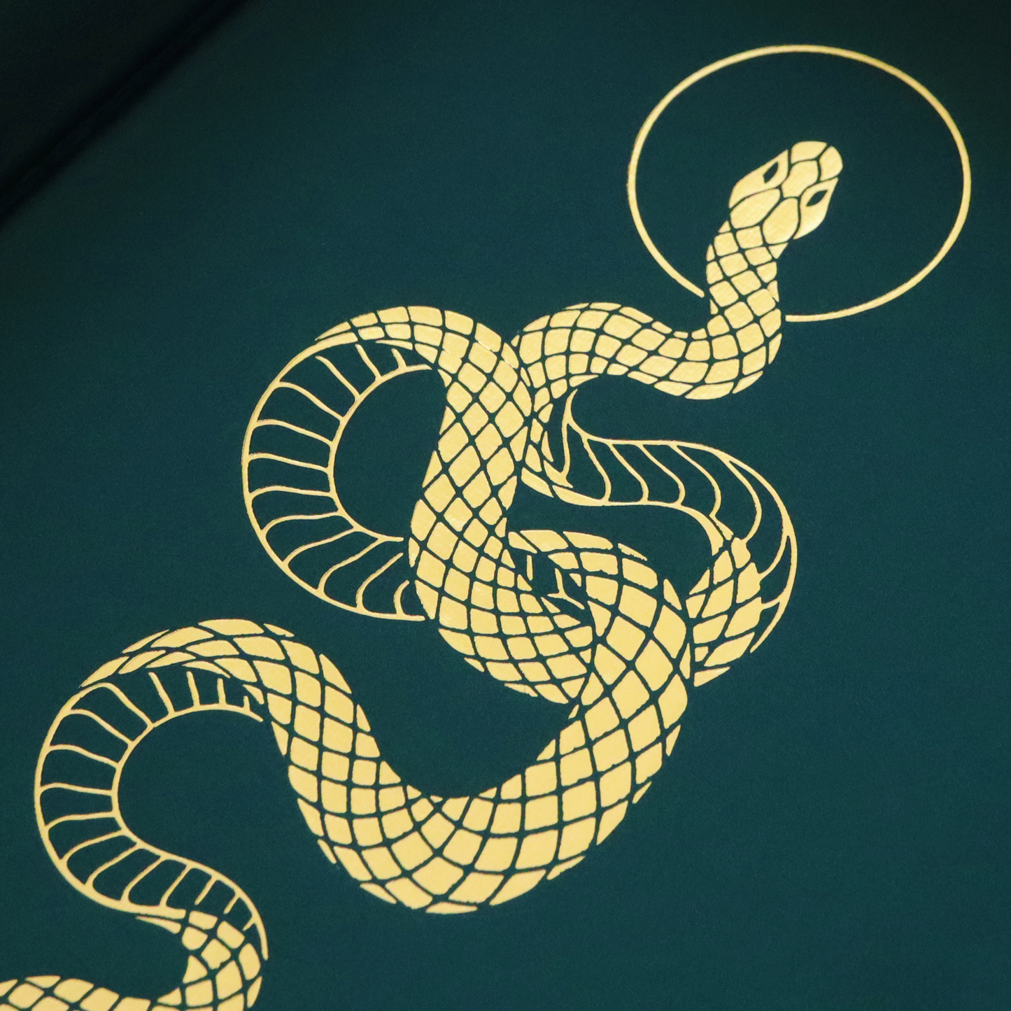 Divine Serpent Dice Tray